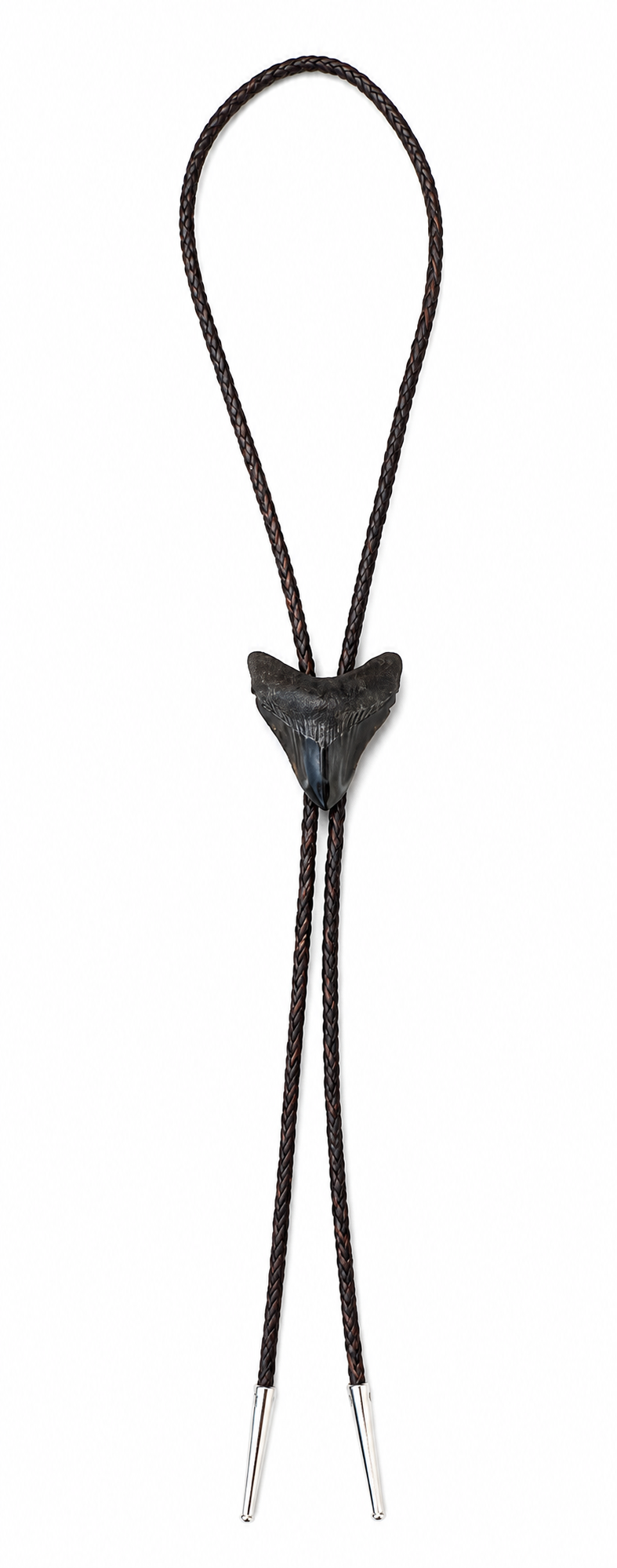 Small 2.25” Multicolor Megalodon Tooth Bolo - Black, Brown, Blue Tooth, Chrome Tips, Brown Braided 3mm Leather