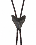 Small 2.25” Multicolor Megalodon Tooth Bolo - Black, Brown, Blue Tooth, Chrome Tips, Brown Braided 3mm Leather