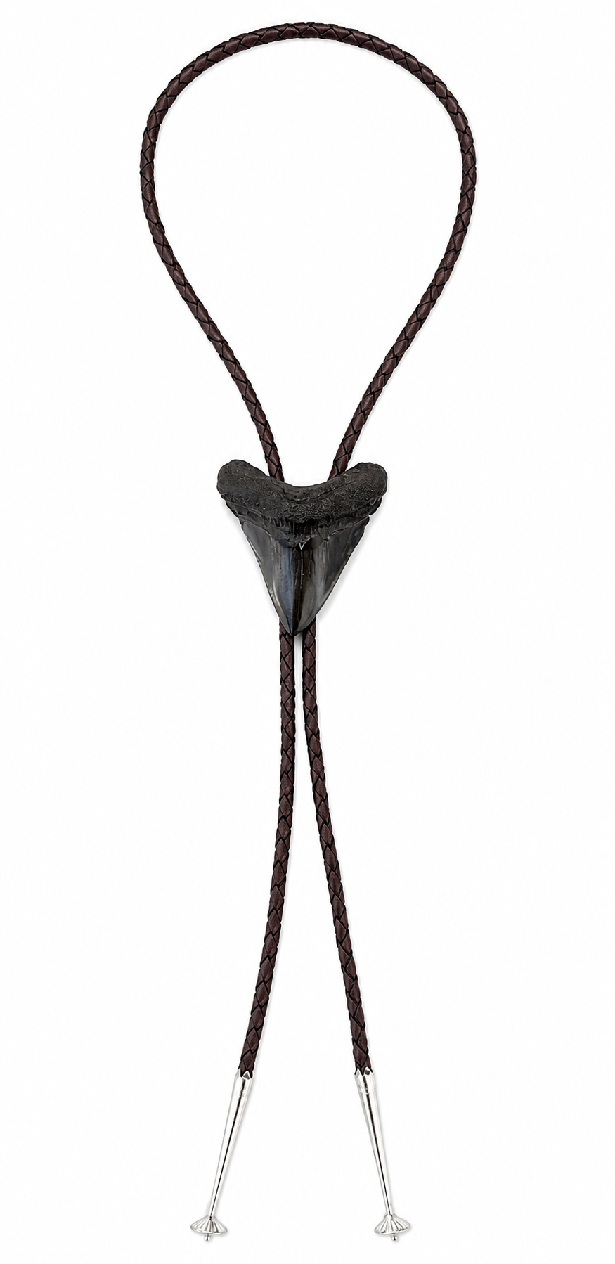 Medium 2.6” Black & Gray Polished Megalodon Tooth, Sterling Silver Premium Tips, Dark Brown Braided Leather