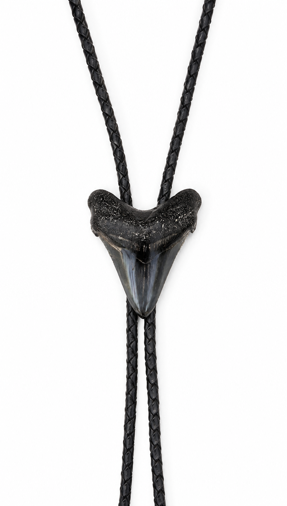 Medium 2.75”  Black & Gray Polished Megalodon Tooth, Sterling Silver Premium Tips, Black Braided Leather