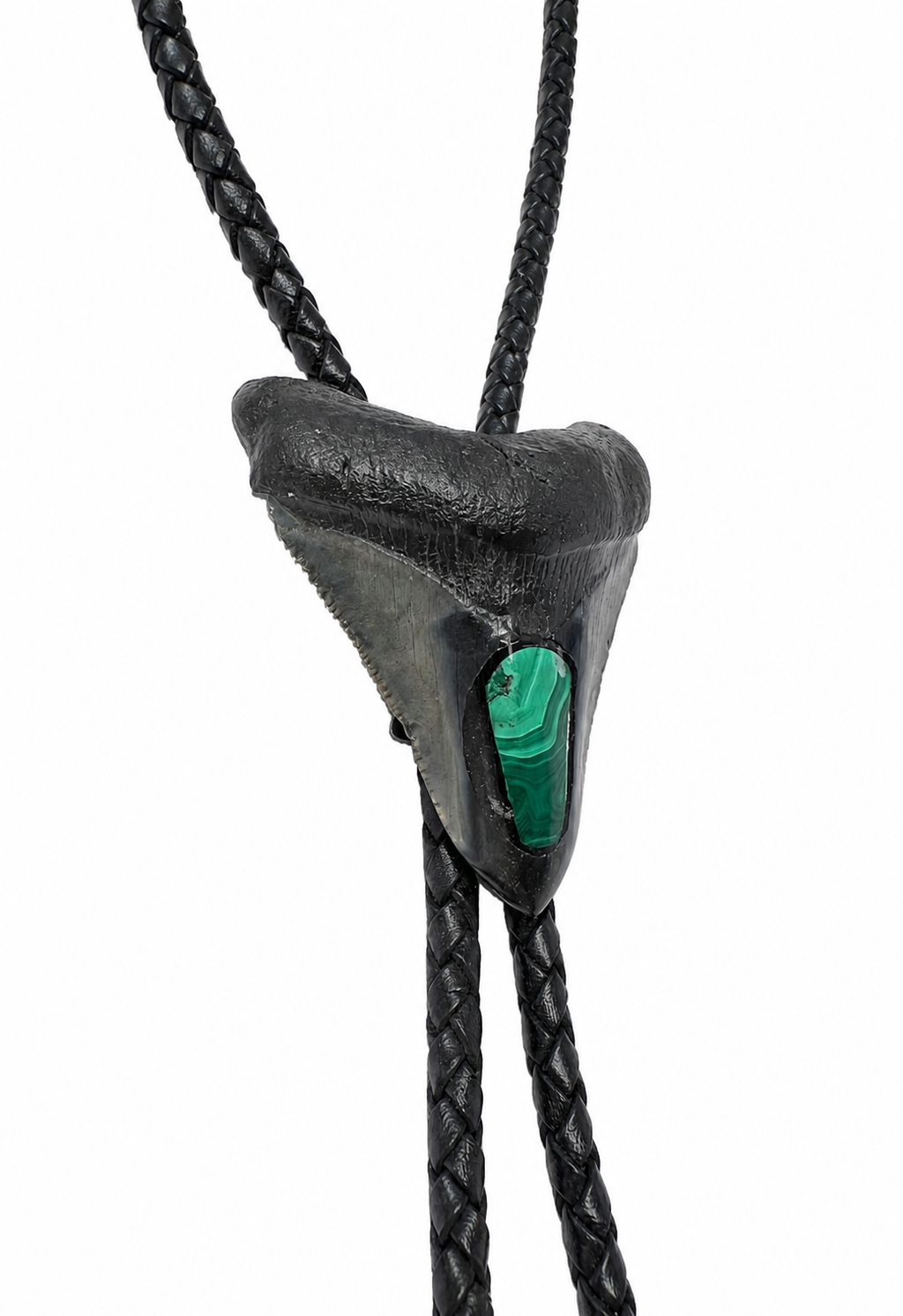Medium 2.9” Black & Gray Megalodon Tooth Inlayed w/ Malachite, Black metal tips, Black Braided Leather
