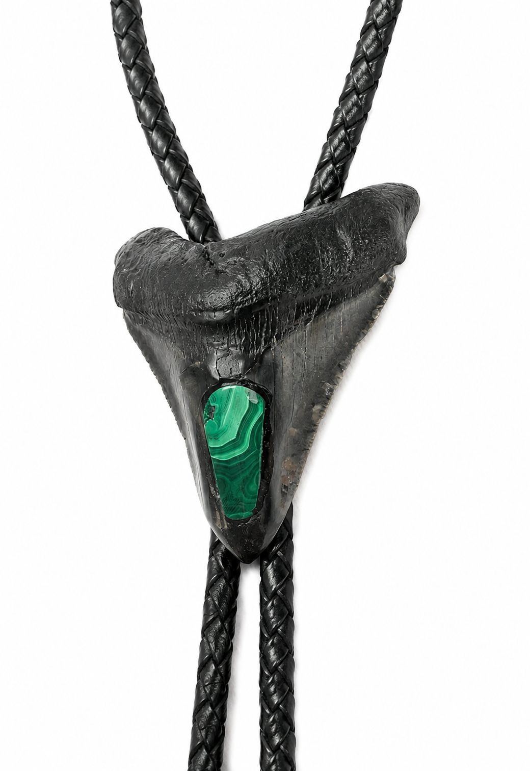 Medium 2.9” Black & Gray Megalodon Tooth Inlayed w/ Malachite, Black metal tips, Black Braided Leather