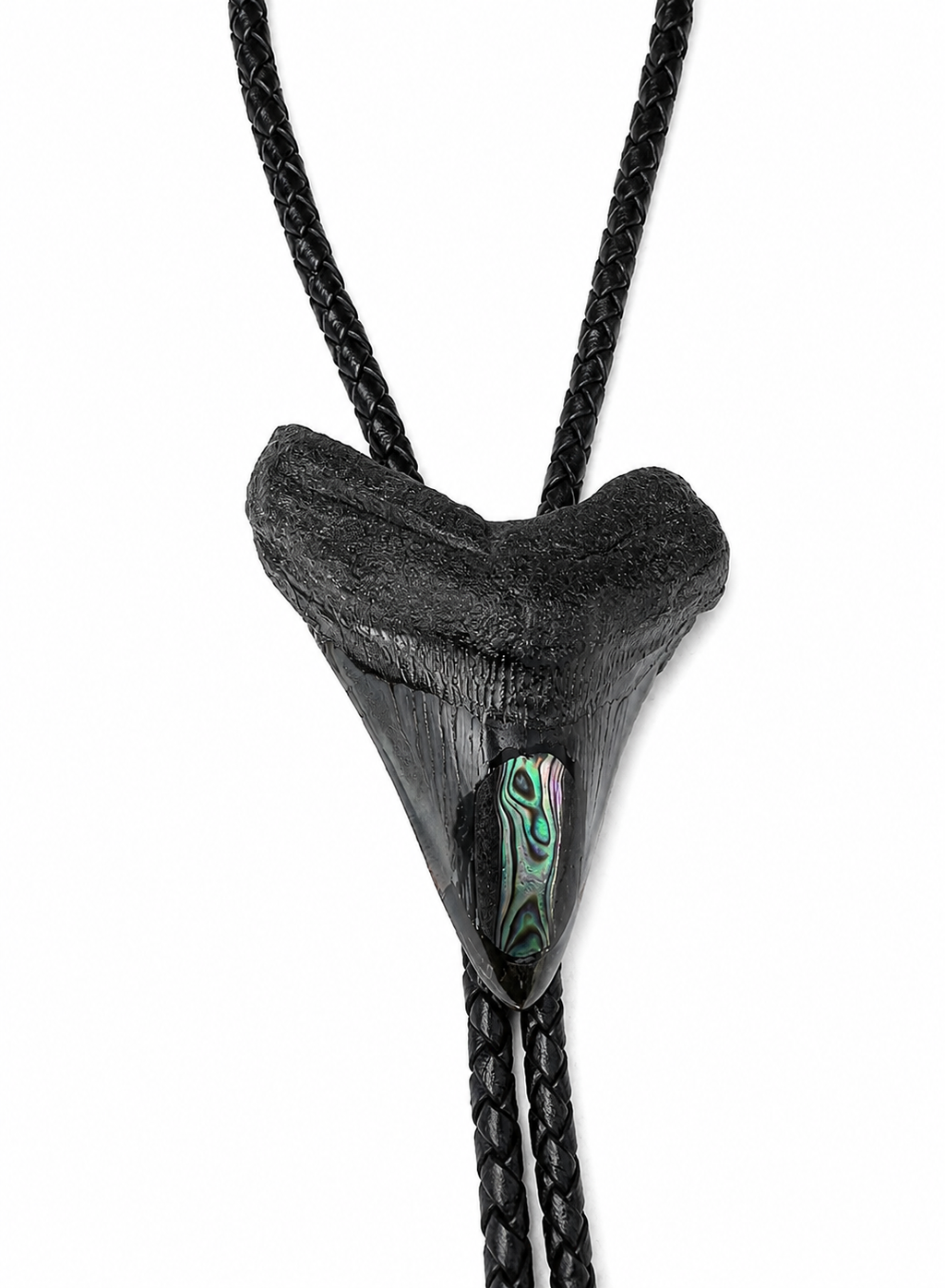 XL 3.5” Black & Gray Megalodon Tooth Inlayed w/ Abalone Shell, Black metal tips, Black Braided Leather