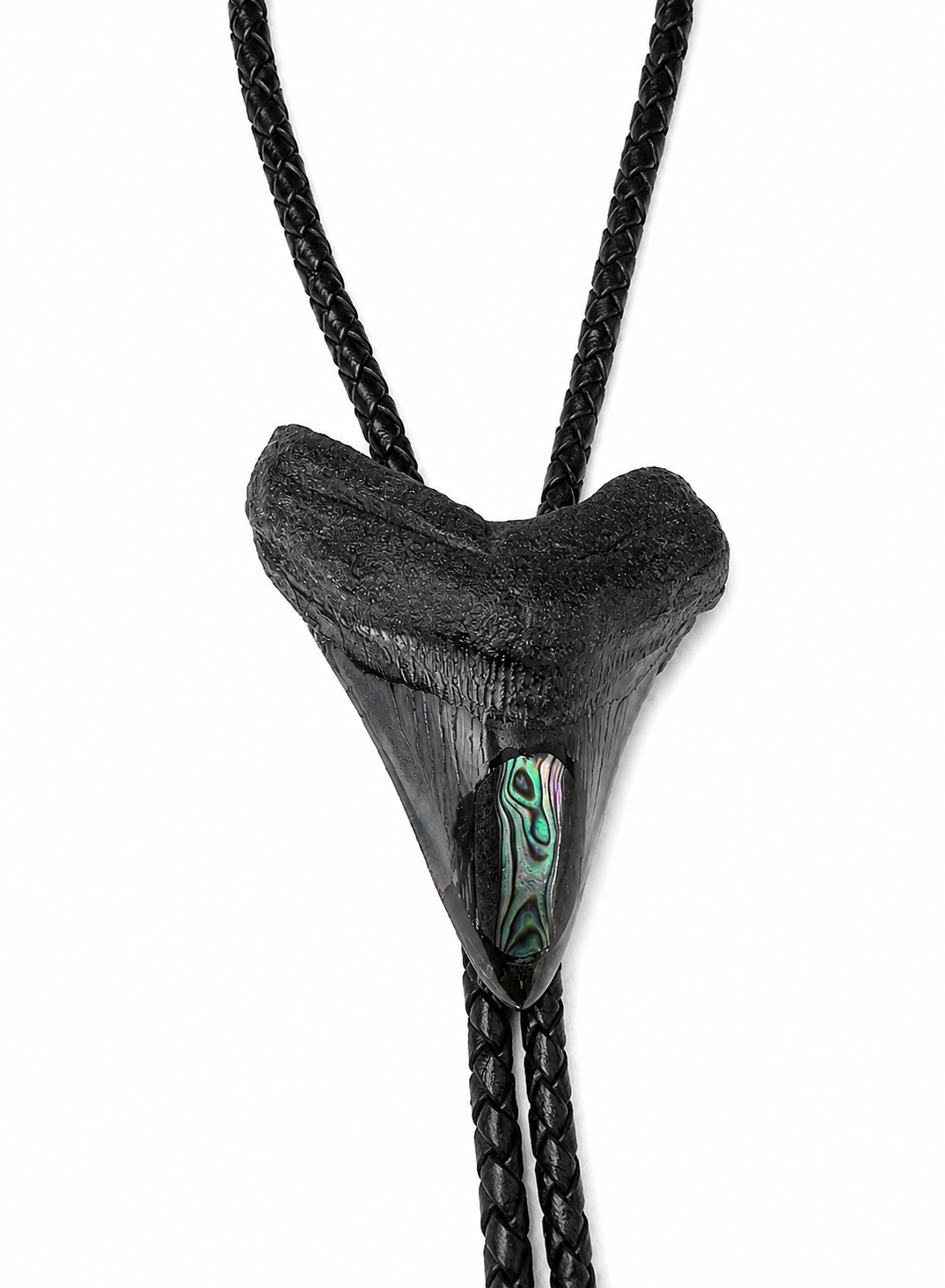 XL 3.5” Black & Gray Megalodon Tooth Inlayed w/ Abalone Shell, Black metal tips, Black Braided Leather