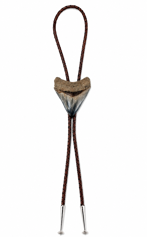 Large 3.25” Multicolor Megalodon Tooth, Premium Sterling Silver tips, Dark Brown Braided Leather