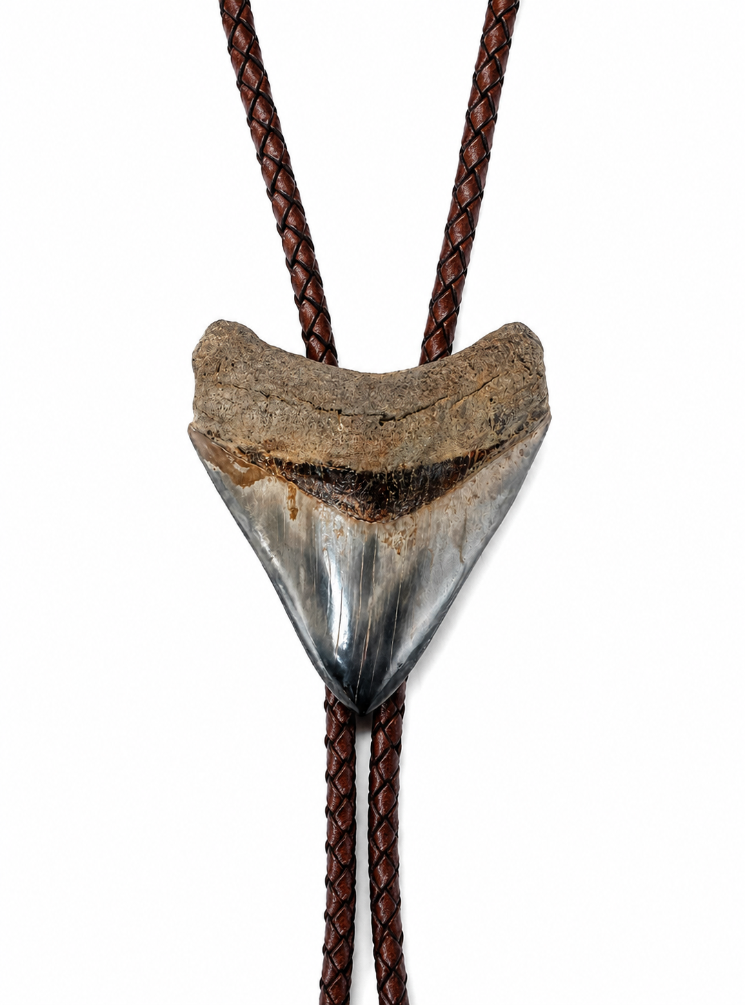 Large 3.25” Multicolor Megalodon Tooth, Premium Sterling Silver tips, Dark Brown Braided Leather
