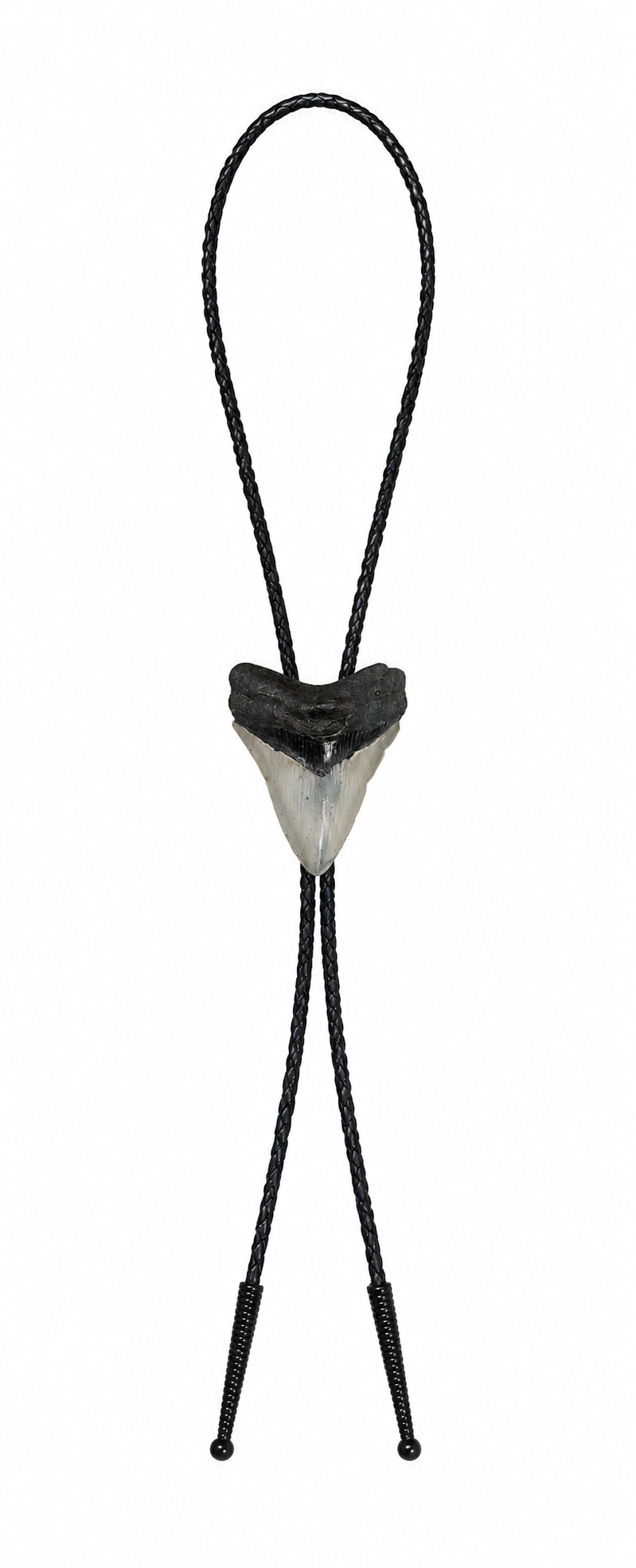 Large 3.25” Gray & Black Tooth, Black Tips, Braided Leather