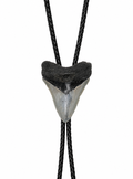 Large 3.25” Gray & Black Tooth, Black Tips, Braided Leather