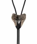 XL 3.6” Multi-Color Megalodon Tooth, Sterling Silver Premium Tips, Black Braided Leather